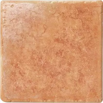 1012603 Rosso Persia 10x10