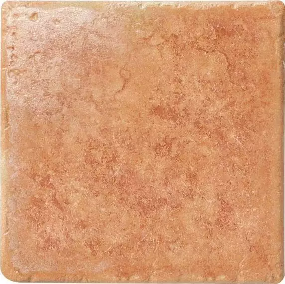 1012603 Rosso Persia 10x10