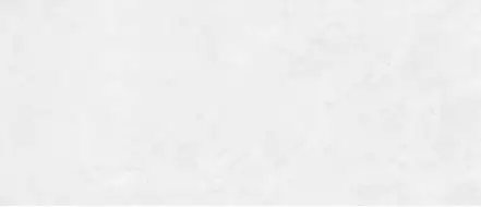 1019 White V. 280x120