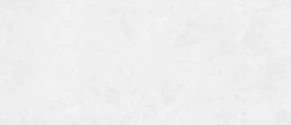 1019 White V. 280x120
