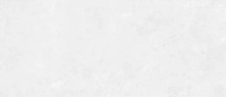 1019 White V. 280x120