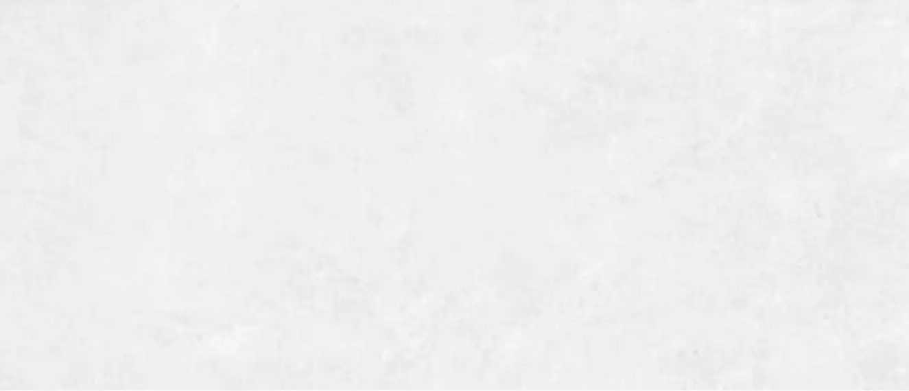 1019 White V. 280x120