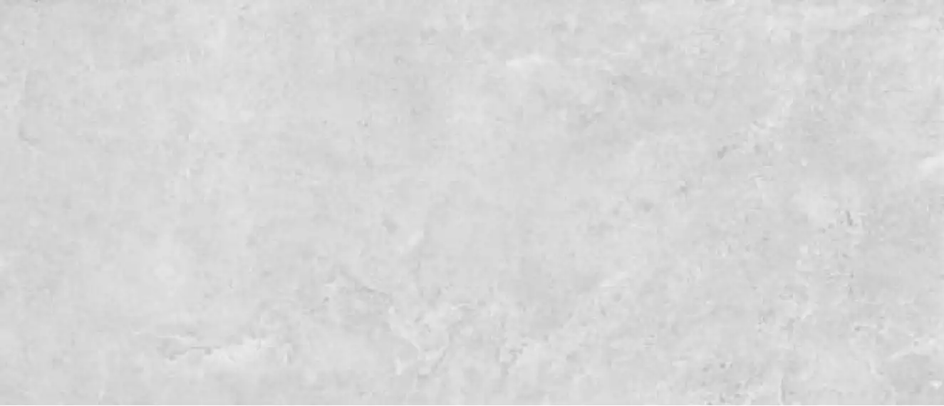 1021 Grey 280x120