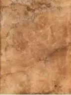 1034-0160 Капри темно-коричневый 25x33