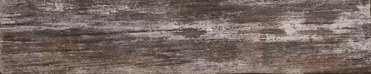 10390271 Brigantino 10x50