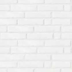 1039890 White Line 8,6*35