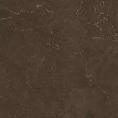 10400000587 Керамогранит Fiori Коричневый 45*45