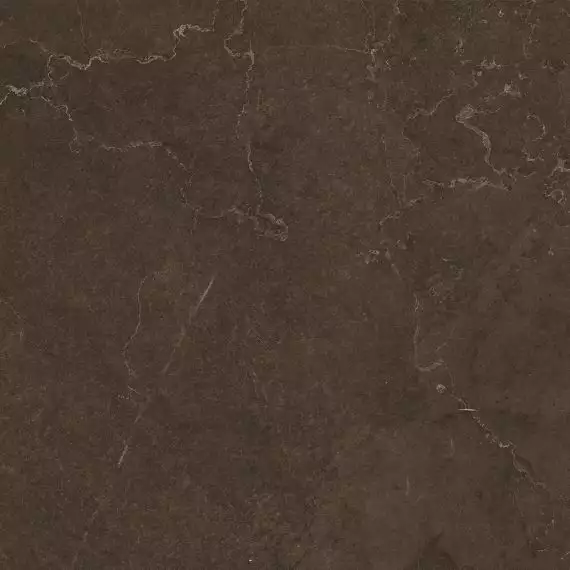 10400000587 Керамогранит Fiori Коричневый 45*45