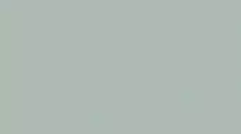 1045-0264 Мерц зеленый 25х45