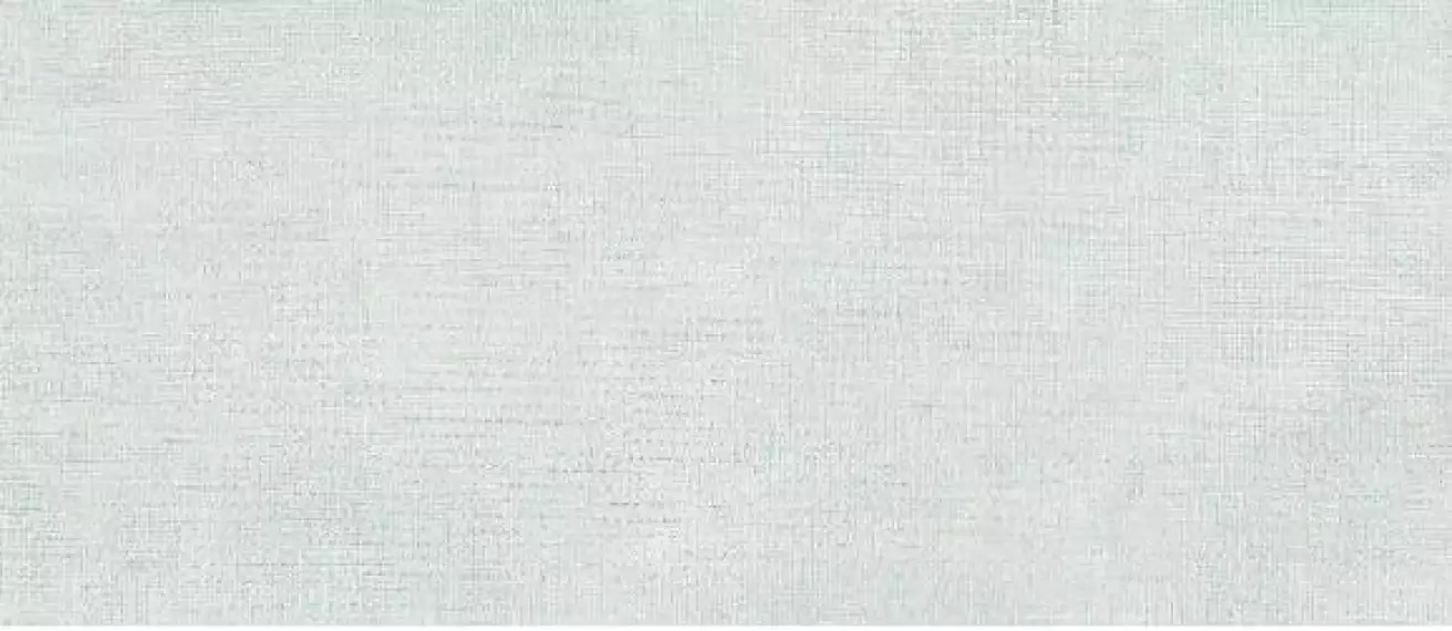 105072 Inside Vetiver 26x60,5