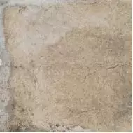 1052974 Havana Sugar Cane 20х20