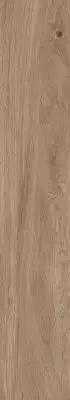 1055 Керамогранит Home Brown Mate 120x20