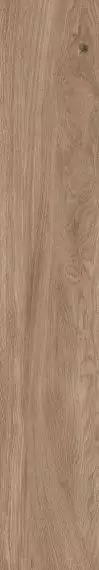 1055 Керамогранит Home Brown Mate 120x20