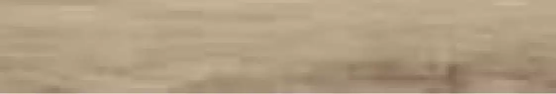 1058450 Alaska Sand 6.5x40