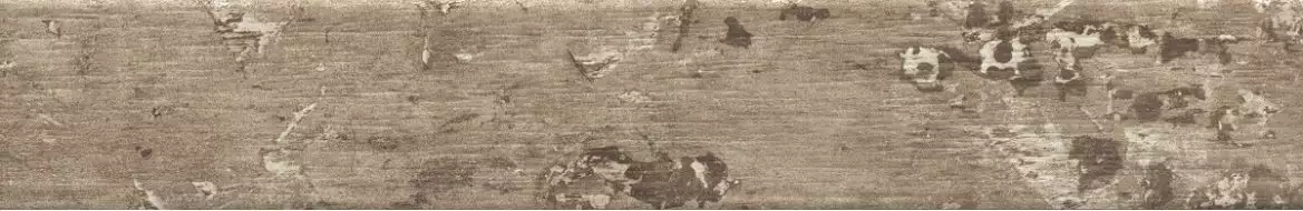 1058458 Kentucky American Elm 15*90