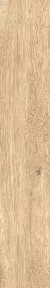 1060 Керамогранит Home Honey Mate 120x20