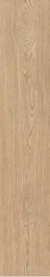 1061 Керамогранит Parma Miel Mate 120x20