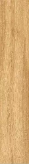 1064 Керамогранит Parma Honey Mate 120x20