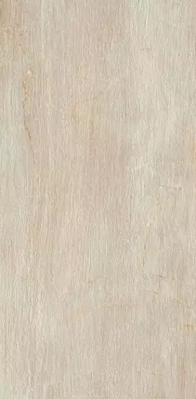 1066571 Fossil Crema Ret 60x120