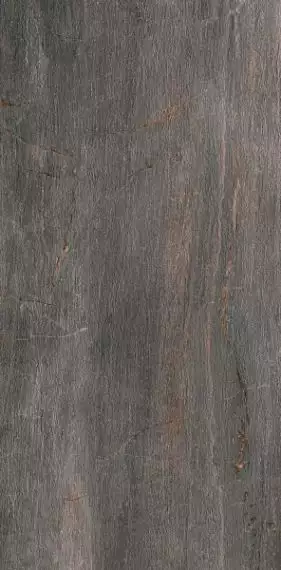 1066573 Fossil Piombo Ret 60x120