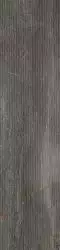 1067946 Fossil Lines Piombo Ret 30x120