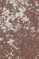 1067990 Rosso D Amante 40x60.8