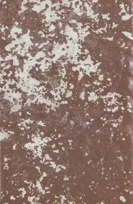 1067990 Rosso D Amante 40x60.8