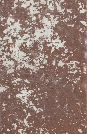 1067990 Rosso D Amante 40x60.8