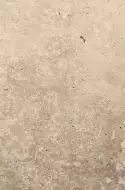 1072820 Pietra Di Rapolano 40x60.8