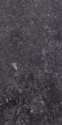 1076236 Керамогранит Ardenne Nero 20х40