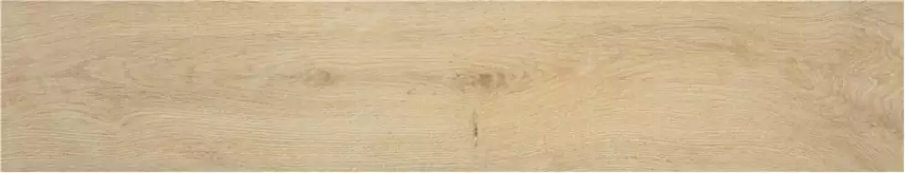110-010-3 Rigel Roble Mt Rect 23x120