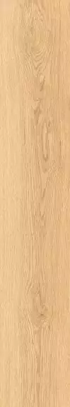 1108 Керамогранит Modena Honey Mate 120x20