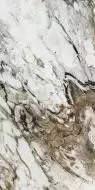 117428 FANTASY LEVIGATO+RETTIFICATO 60x120