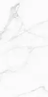 117432 WHITE BEAUTY LEVIGATO+RETTIFICATO 60x120
