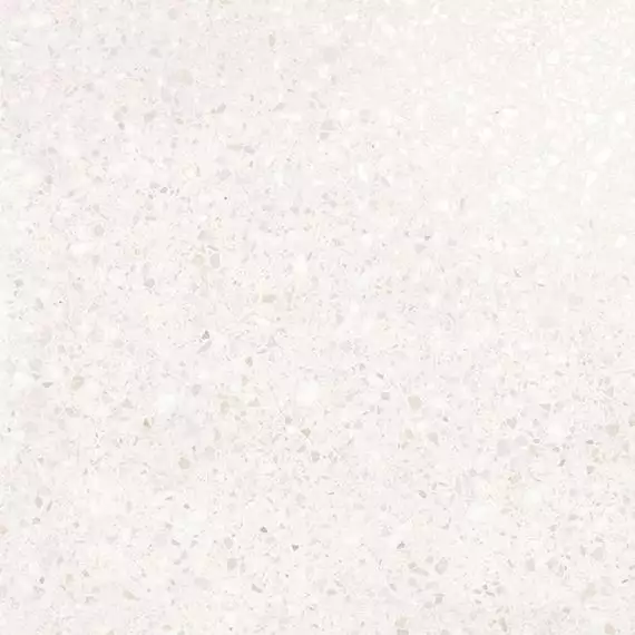 11950041 Керамогранит Terrazzo White 60x60