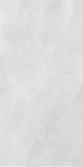 1205 Керамогранит Porto White Matt 120x60