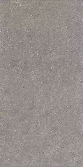 1224 Керамогранит Graniti Grey Matt Ghr 120x60