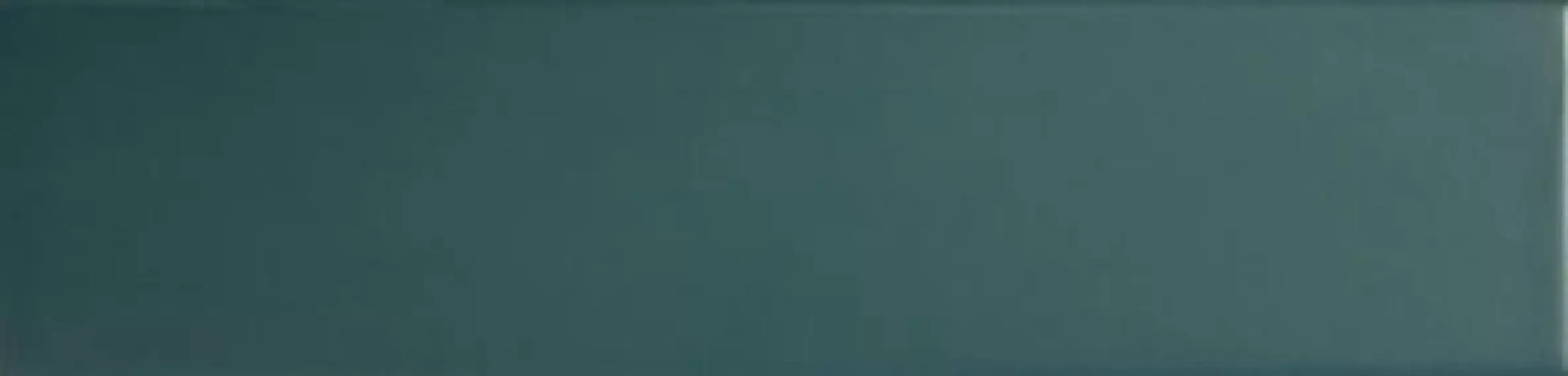 124914 TEAL MATT 7,5x30