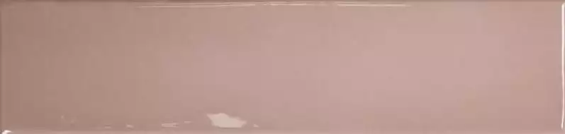 124925 BLUSH GLOSS 7,5x30
