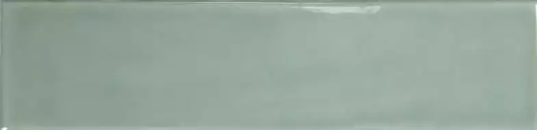 124927 SAGE GLOSS 7,5x30