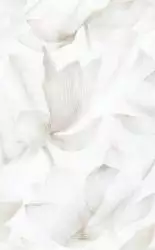 125702 Bianco декор 25x40
