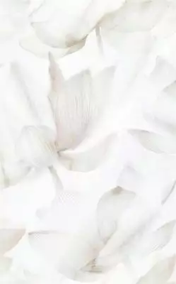 125702 Bianco декор 25x40