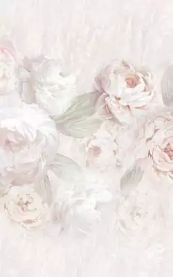 126874 Peonia декор 25*40