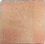128198 ROOTS COTTO L 22x22