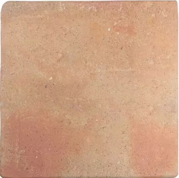 128198 ROOTS COTTO L 22x22