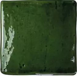 128210 ROOTS Olive S Gloss 11x11