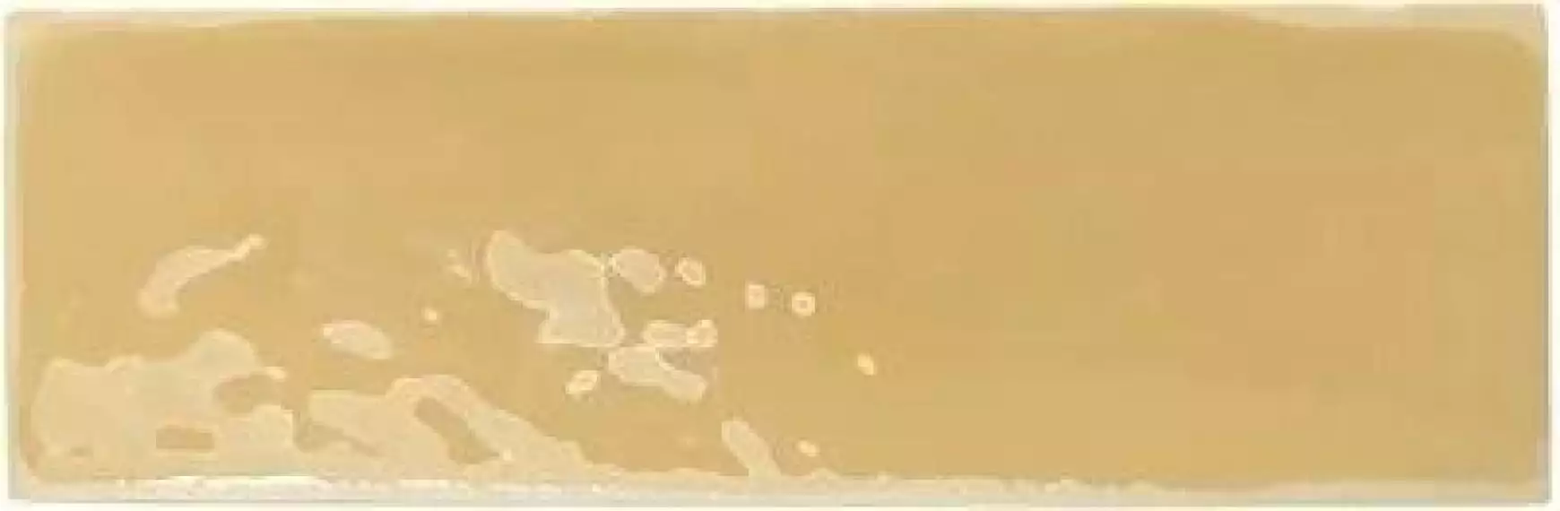 129065 Rebels Mustard Gloss 5х15