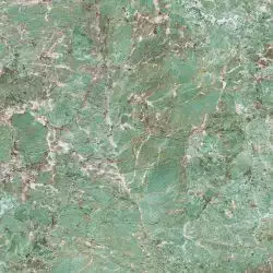 12950519 Marmoker Caribbean Green Honed 60x60