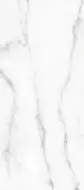 130100 Crystal 20x45