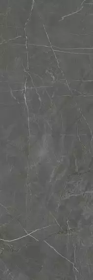 13098R Плитка Буонарроти серый темный обрезной 30*89.5